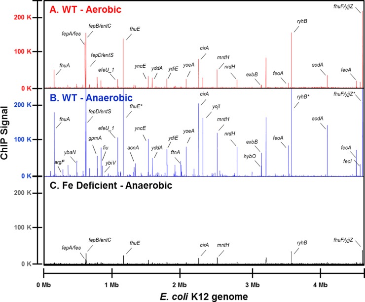 FIG 1 