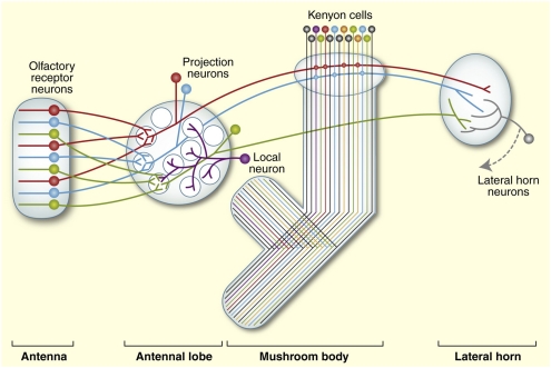 Fig. 3.