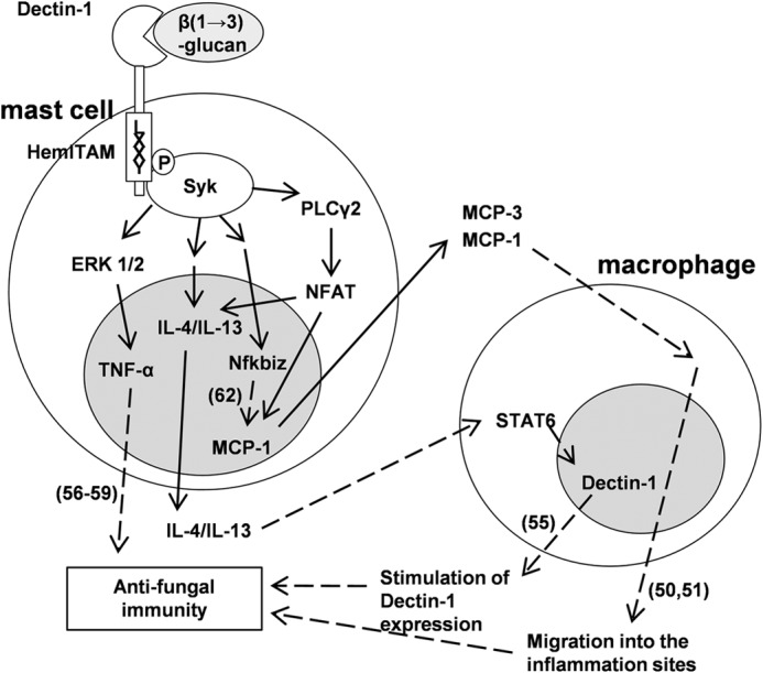 FIGURE 7.