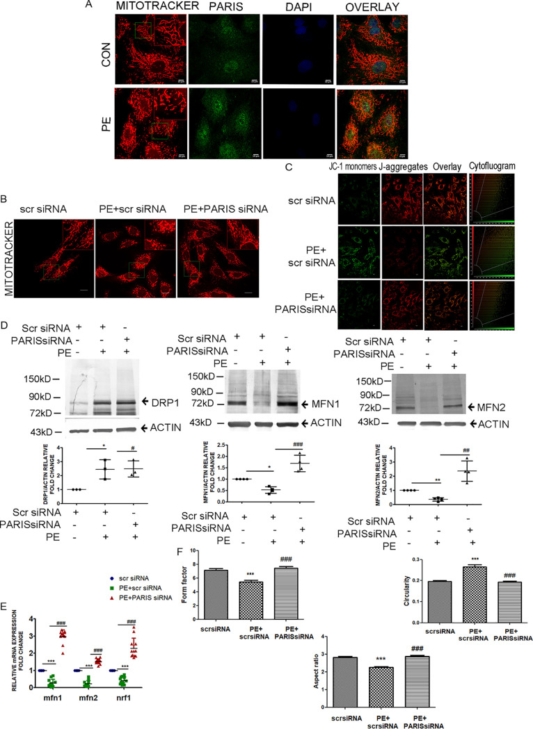 FIG 3