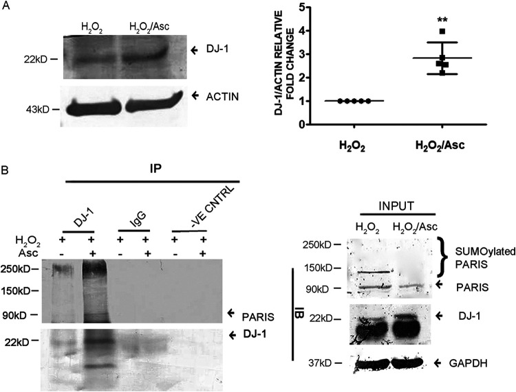 FIG 10