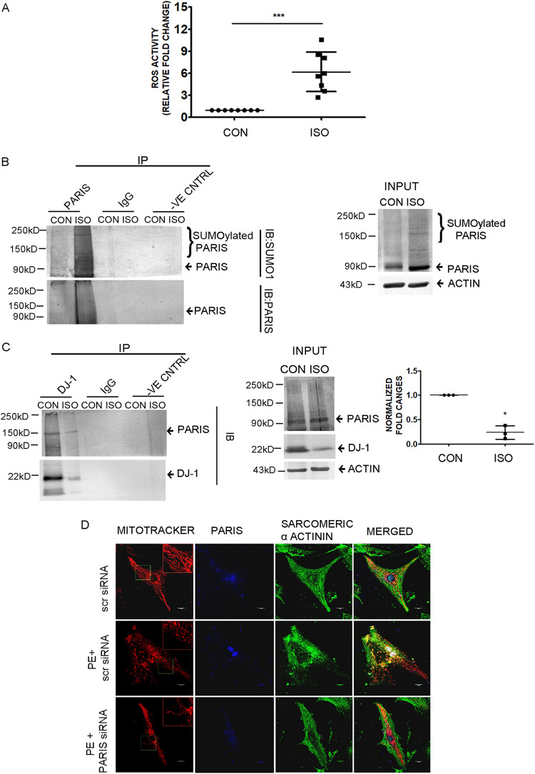 FIG 13