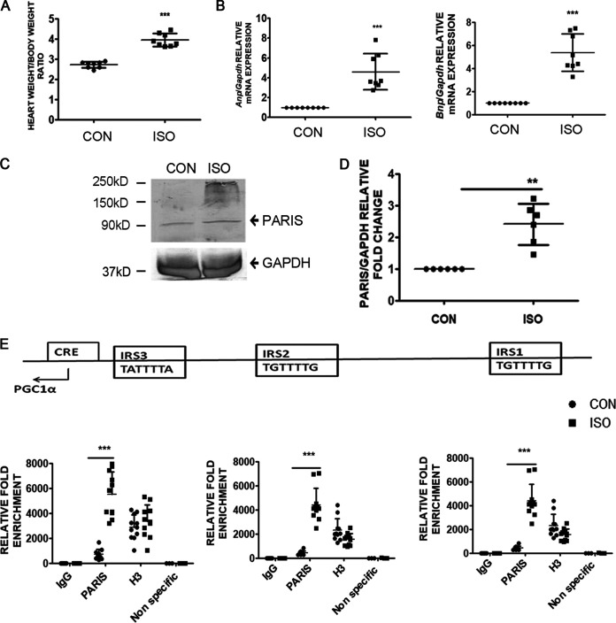 FIG 12