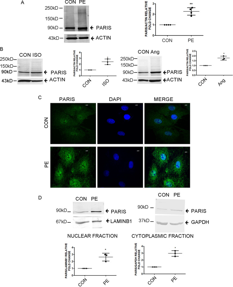 FIG 1