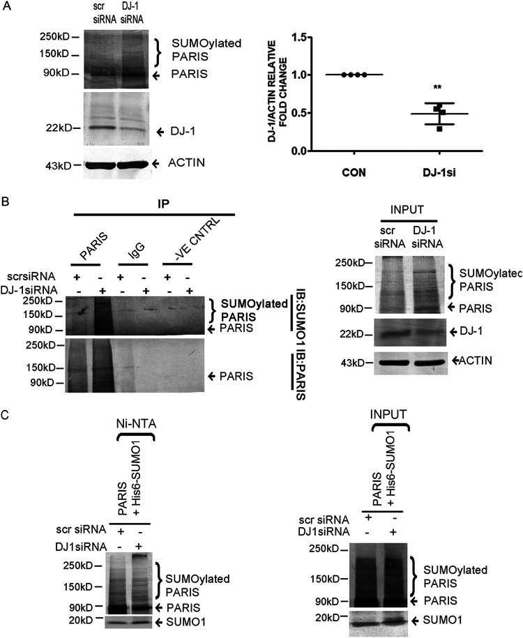 FIG 9