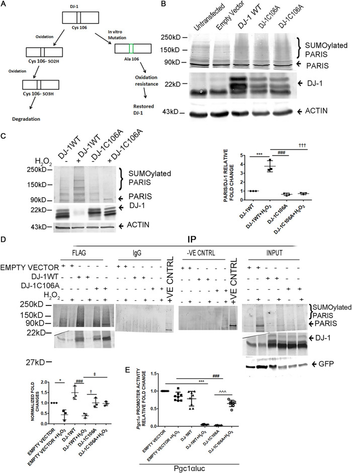 FIG 11