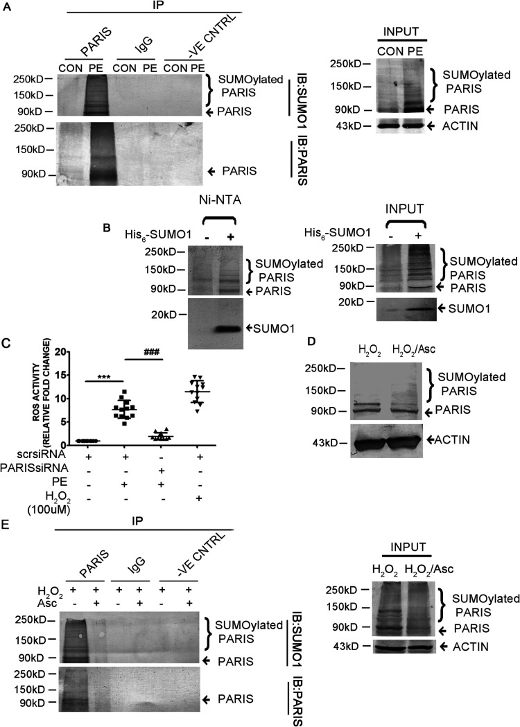 FIG 6