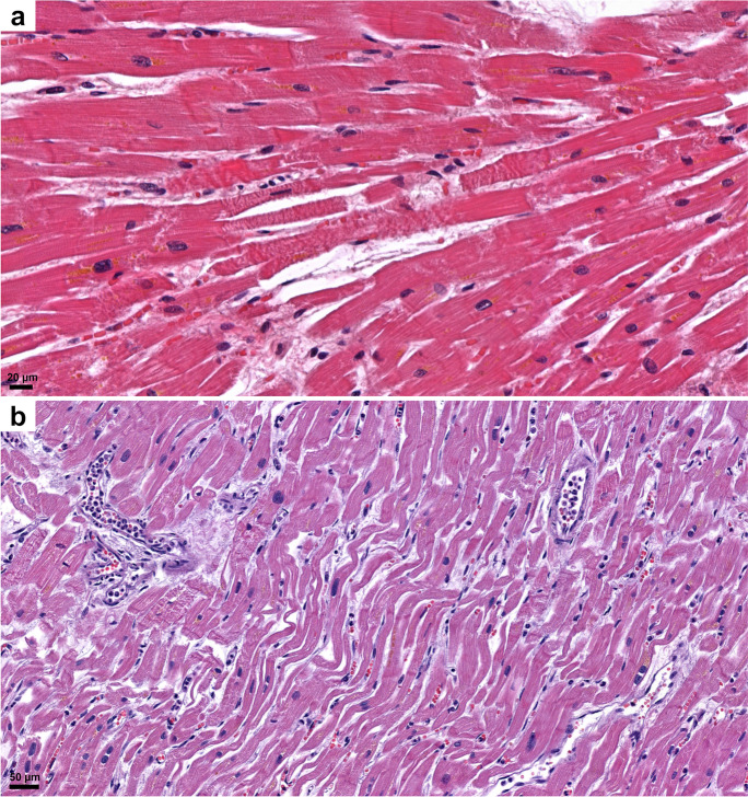 Fig. 10