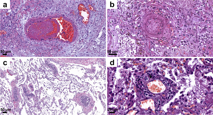 Fig. 8