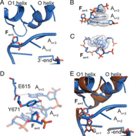 FIGURE 1.