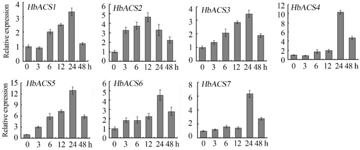 Figure 5