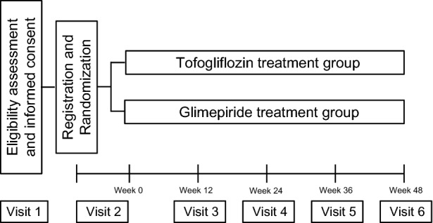 Fig. 1