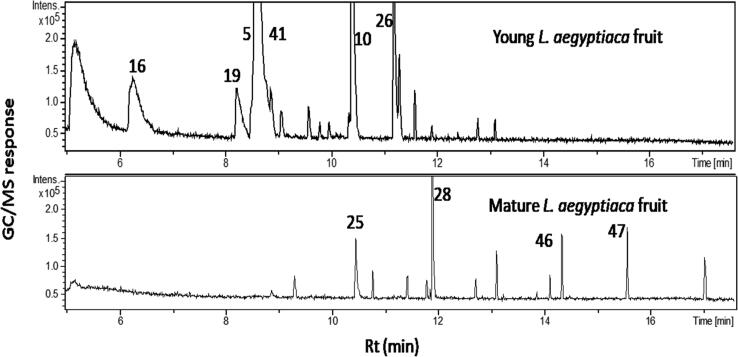 Fig. 2