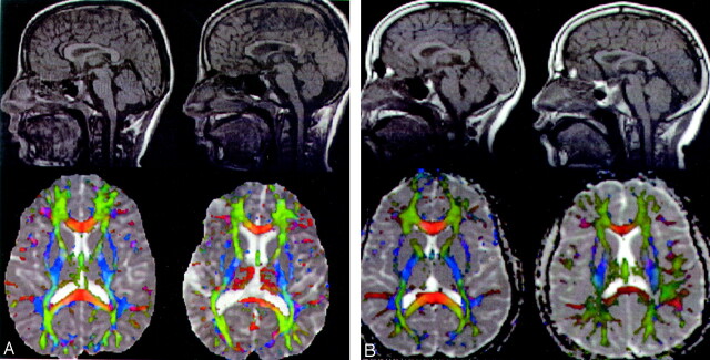 Fig 1.