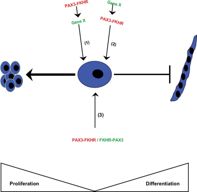 Figure 3.