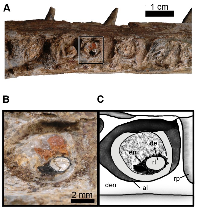 Figure 15