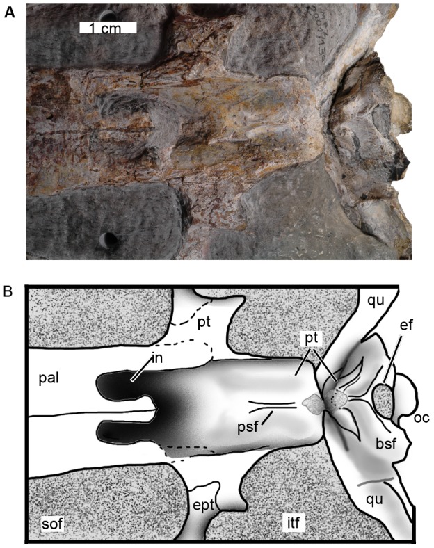 Figure 13