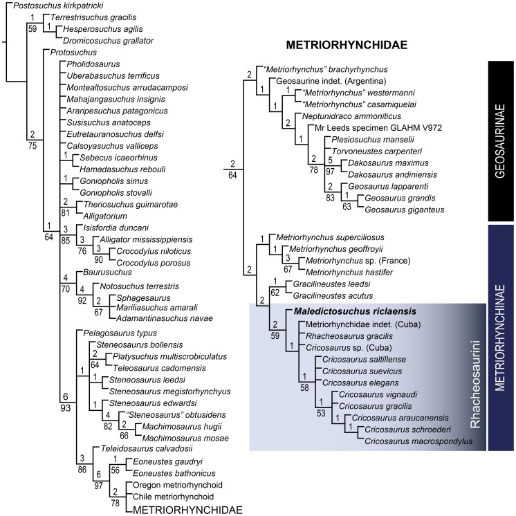 Figure 17