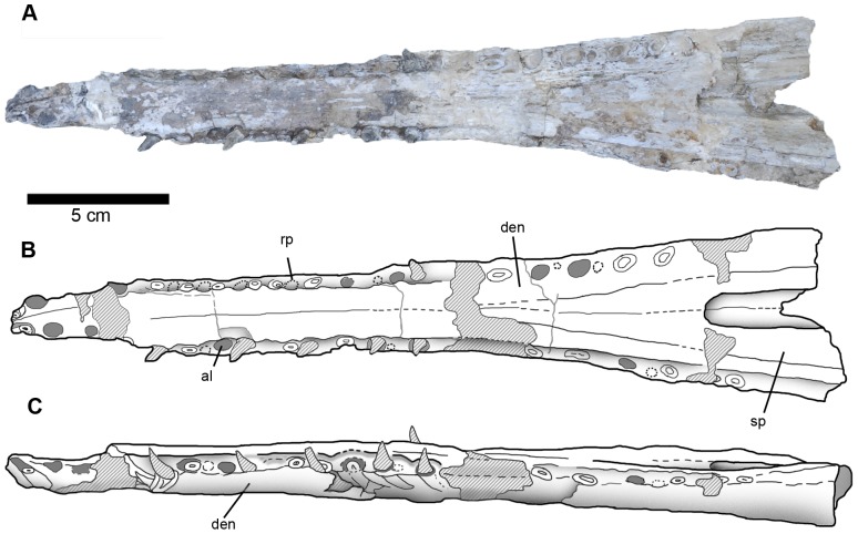 Figure 14