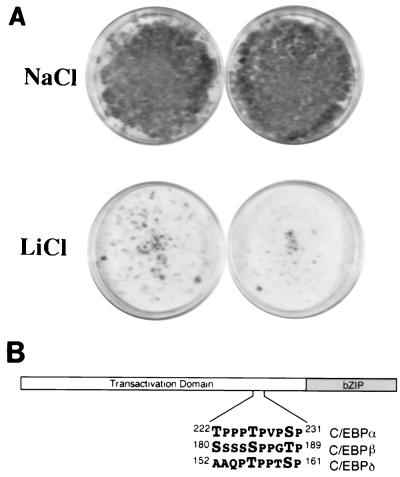 FIG. 6