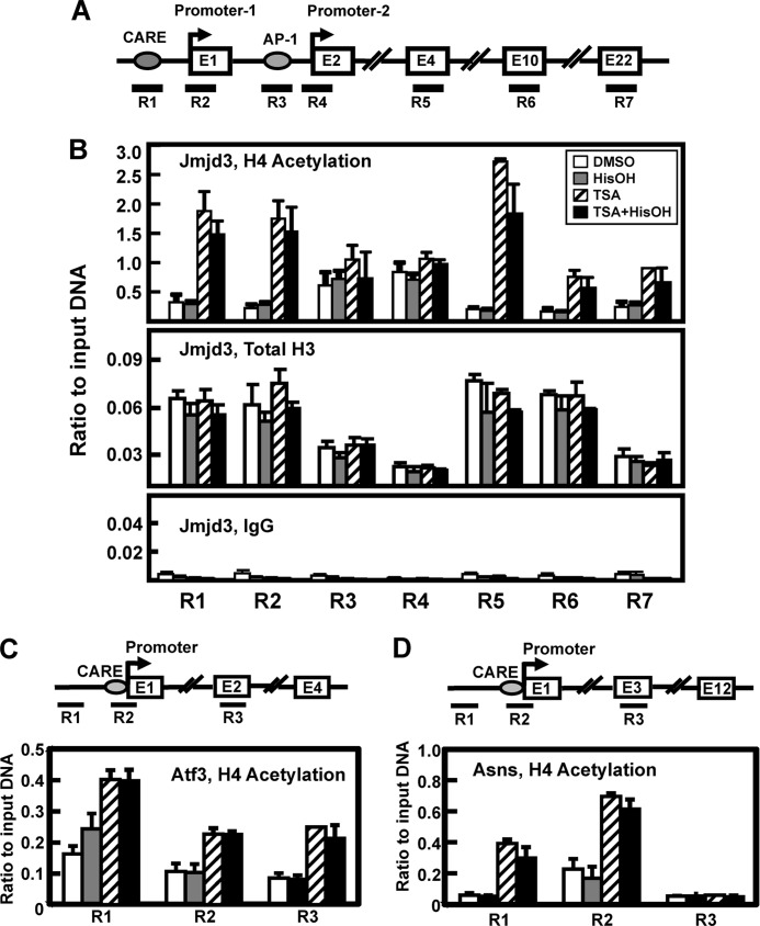 FIGURE 7.