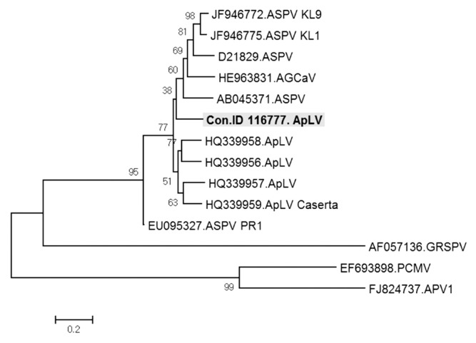 Fig. 6