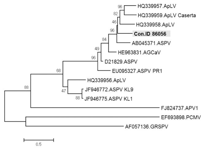 Fig. 8