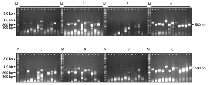 Fig. 9