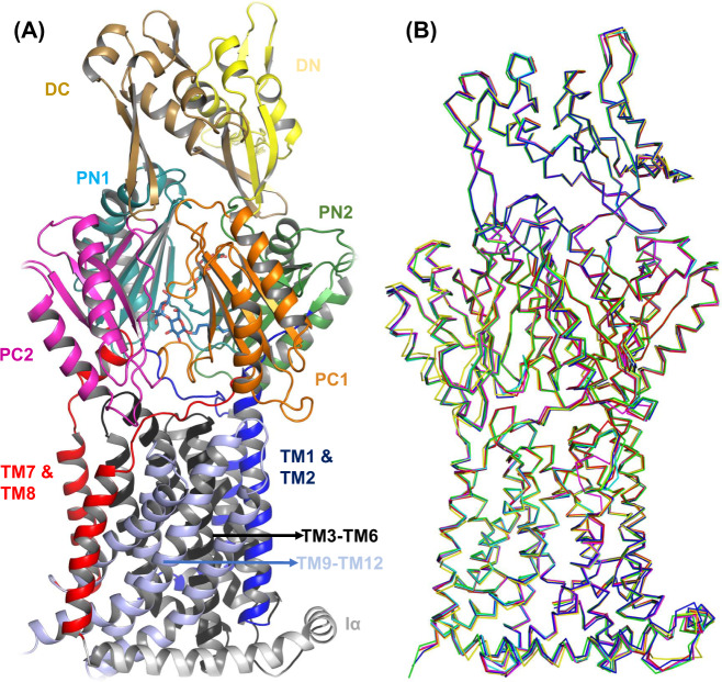 Fig. 1