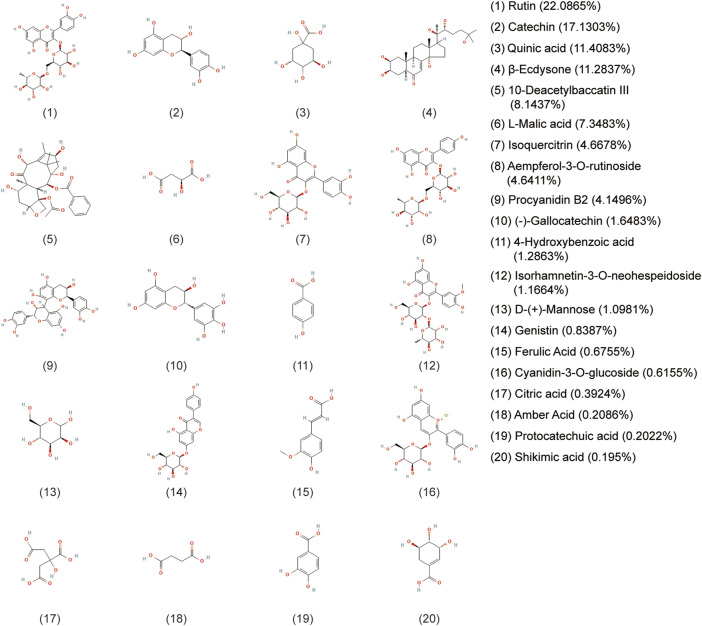 FIGURE 3