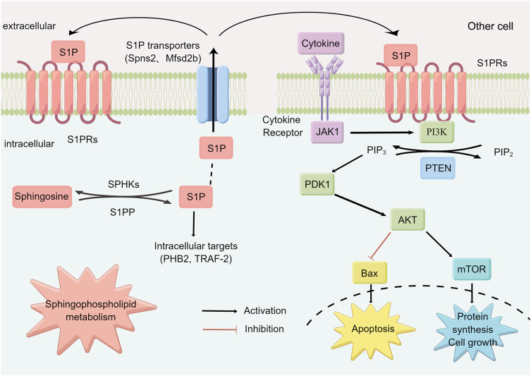 Figure 19