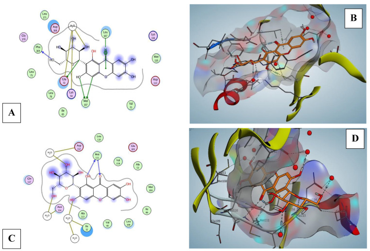 Figure 11