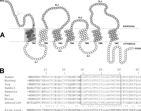 FIGURE 1.