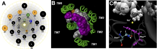 FIGURE 9.