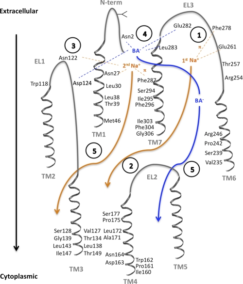 FIGURE 10.