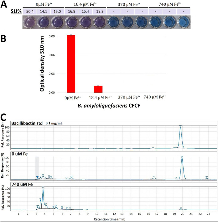 FIG 1