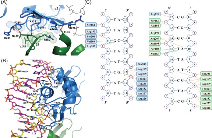 Figure 4.