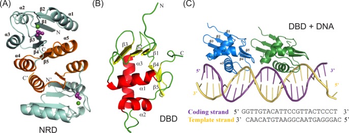 Figure 2.