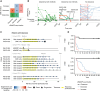 Figure 5. CSM and FLS estimate ctDNA clearance status, identifying patients with durable response to pembrolizumab. The log odds of cancer were computed using a logistic regression model with CSM and FLS as independent variables. A threshold of below −1.754 was determined to identify patients with clearance. A, By this criterion, 11 patients cleared ctDNA based on cfMeDIP-seq, of which 9 also had undetectable ctDNA based on CMC from targeted deep sequencing. B, Patients with clearance demonstrated persistently low cfMeDIP-seq scores. The two patients with clearance by CMC but not cfMeDIP-seq (INS-A-019 and INS-D-012) both had low cfMeDIP-seq scores near the clearance threshold. C, The clinical course and radiologic size of index tumors of all 13 patients with clearance by either method are shown. Vertical lines show the median and maximum PFS of patients within each cohort. D, Patients meeting the cfMeDIP-seq clearance criteria demonstrated strikingly favorable PFS and OS.
