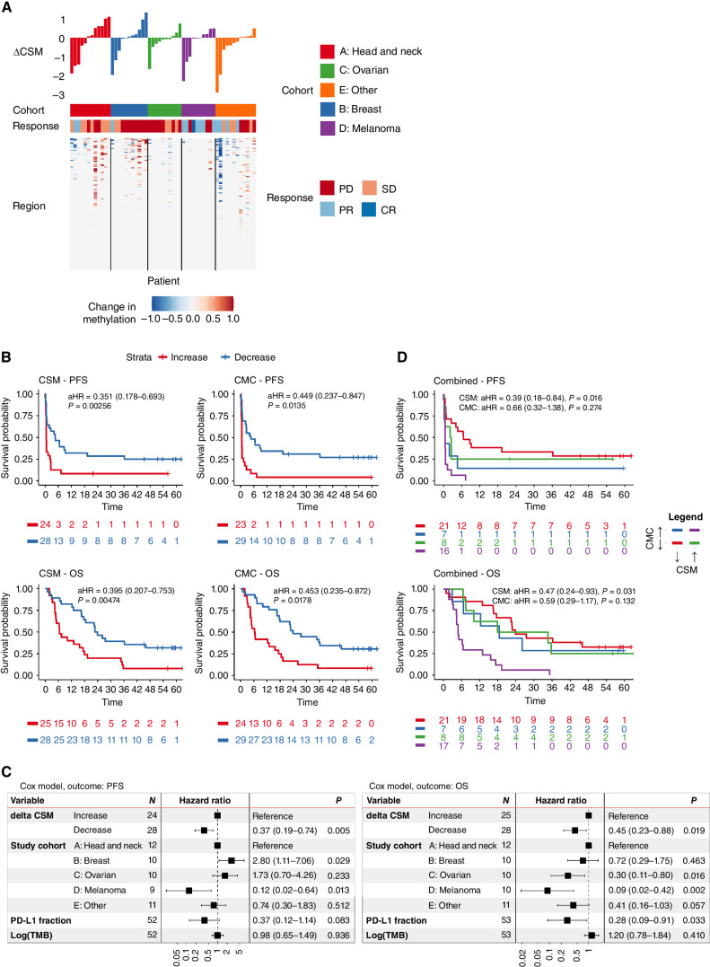 Figure 3. Association of CSM and CMC with survival outcomes in patients with advanced cancer treated with pembrolizumab. Circulating tumor DNA was quantified using a methylation-based approach (CSM) and a bespoke tumor-informed mutation sequencing approach (CMC). A, Methylation probabilities were summed across 200 cancer-specific sites, curated based on independent analysis of methylation array data from The Cancer Genome Atlas. ΔCSM was calculated based on the change in CSM from SB to C3B. Changing regions are shown in the heat map, alongside final ΔCSM values. B, Decrease in CSM and CMC from baseline to cycle 3 are each associated with improved OS and PFS. C, In multivariable Cox analyses, ΔCSM was a significant, independent predictor of PFS and OS, adjusted for cohort, PD-L1 expression, and tumor mutation burden. D, A decrease in either CSM or CMC was associated with improved survival, whereas increase in both metrics identified patients with particularly poor outcome.