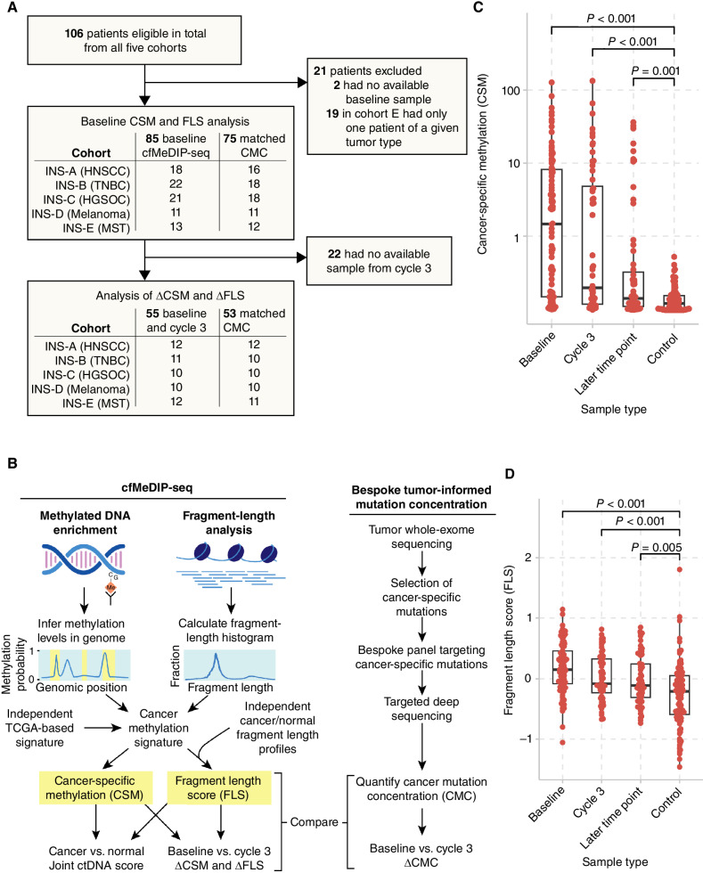 Figure 1. Overview of the study and the analysis of cell-free methylomes and fragmentomes. A, CONSORT diagram for cfMeDIP-seq analysis within the INSPIRE study. B, We performed cfMeDIP-seq in a cohort of patients with various solid tumors treated with pembrolizumab. We computed CSM scores and fragment-length scores through joint analysis of the methylome and fragmentome. C, CSM and (D) FLS were significantly higher in samples from patients with cancer than those from normal controls, by Wilcoxon rank-sum tests. Boxplots show median and quartiles.