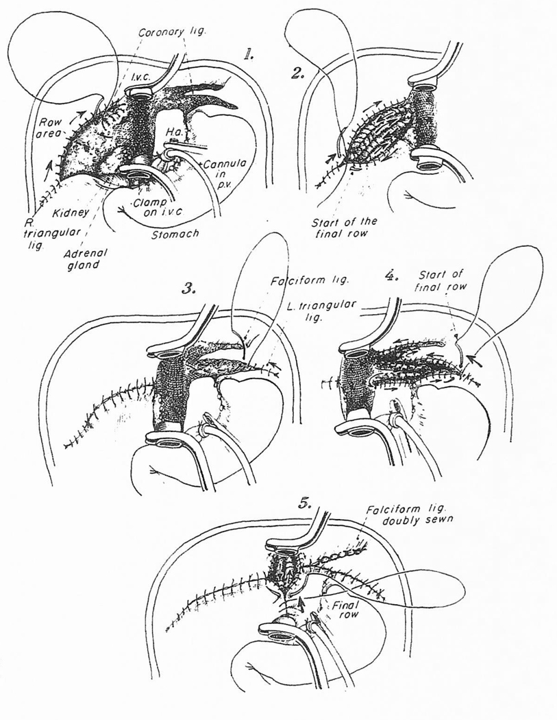 Fig 7