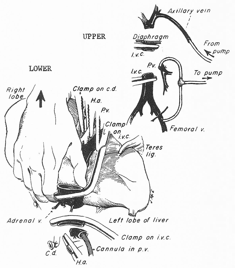 Fig 5