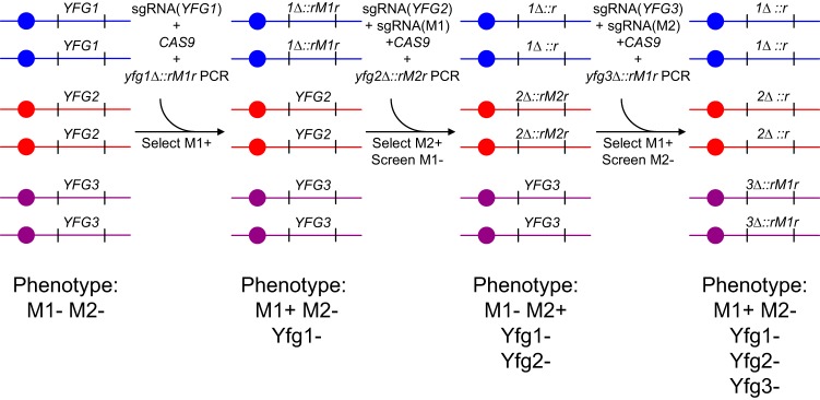 FIG 2 