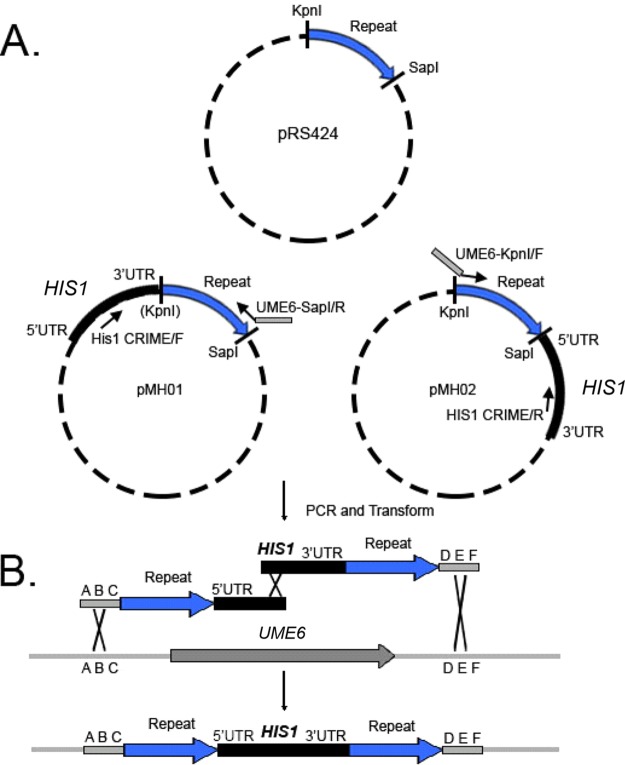 FIG 4 