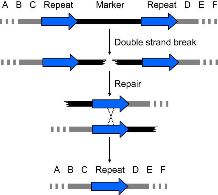 FIG 1 