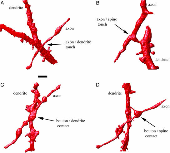 Fig. 2.