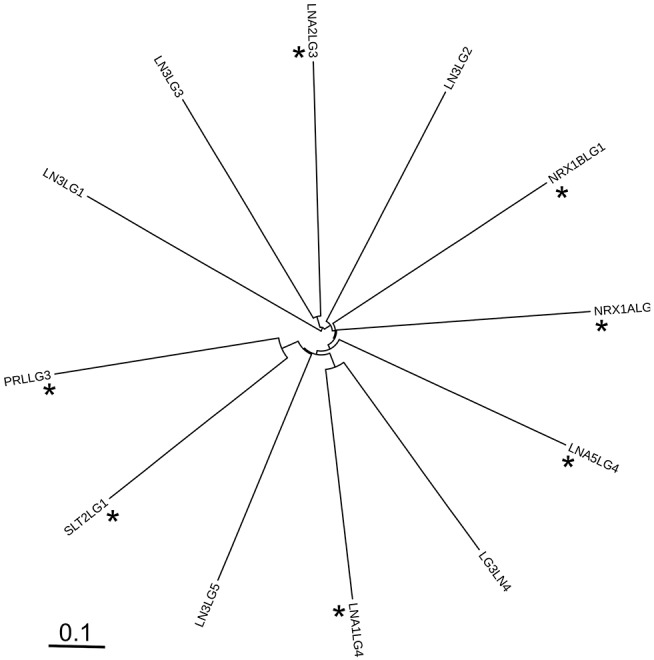 Figure 12