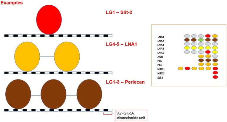 Figure 13