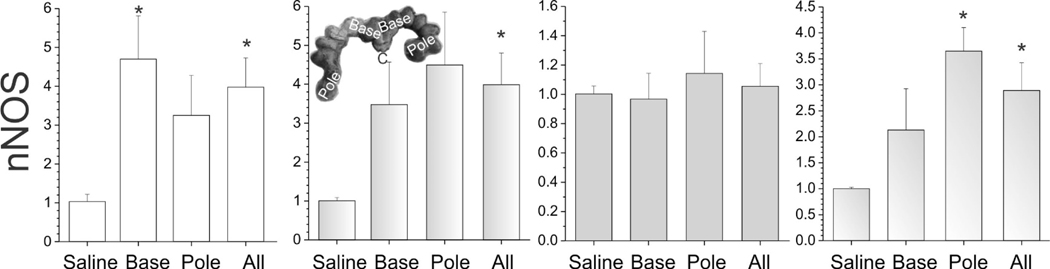 Figure 9.